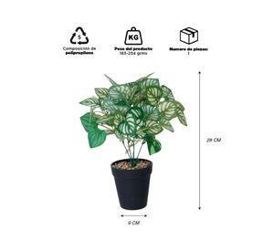 Planta Artificial Peperomia 28x9 cm