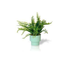 Planta Artificial Helecho 22x10 cm