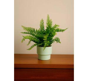 Planta Artificial Helecho 22x10 cm