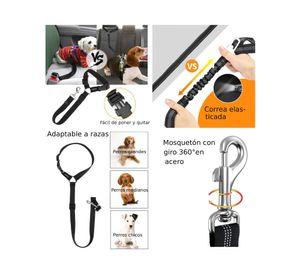 Cinturón de seguridad perro M 4x1