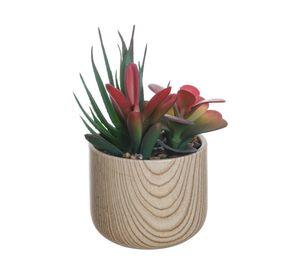 Suculenta en maceta Look madera 9 cm