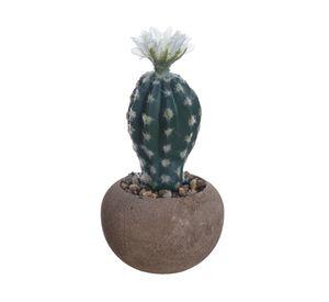 Cactus en maceta Look cemento redondo 9 cm