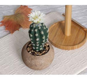 Cactus en maceta Look cemento redondo 9 cm