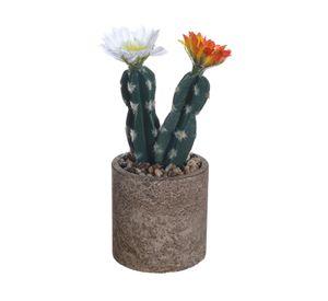 Cactus en maceta Look cemento recto 8 cm