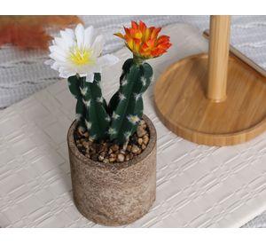 Cactus en maceta Look cemento recto 8 cm