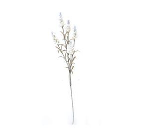 Flor tallo Cola de zorro 48 cm