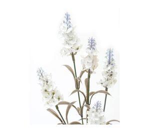 Flor tallo Cola de zorro 48 cm