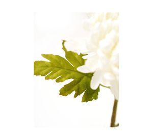 Flor tallo Dalia blanco 74cm