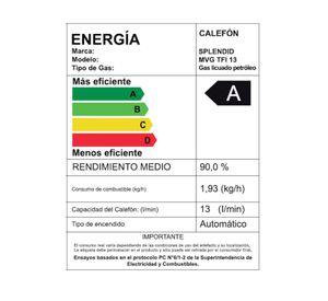 CALEFON SPLENDID MASTER G.N 13L IONIZADO