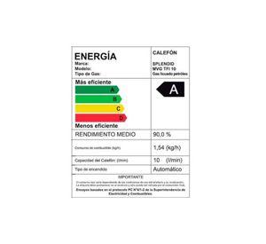 Calefon Splendid Ioniz. Master Tiro Forzado Gas Natural 10lt