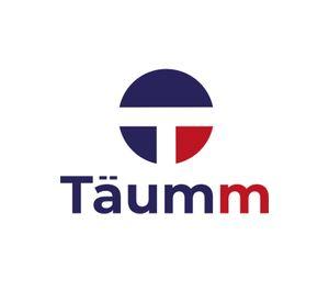 Llave Monomando Taumm Lavaplatos Profesional (010601001-t)