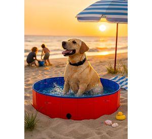 Piscina Bañera Portátil Plegable Para Perros 80x20cm Mascotas