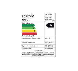 CALEFON SPLENDID 13LT GAS LICUADO MASTER TIRO FORZADO ION