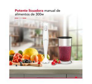 Batidora de Inmersión Thorben HB Stick 300W 2 Accesorios