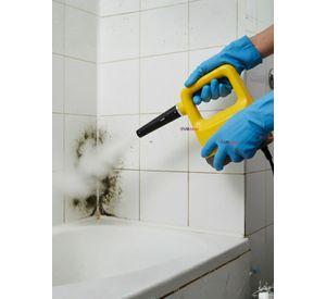 Limpiador De Vapor 300ml Multiuso Potencia de 1350w Color Amarillo