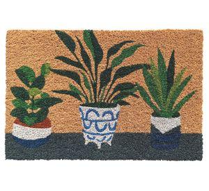 Limpiapiés Plantas 40x60 cm