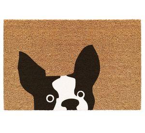 Limpiapiés Bulldog 40x60 cm