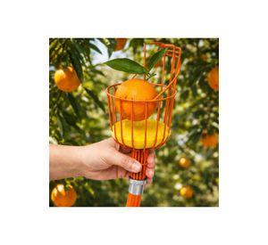 Recolector De Frutas Truper Con Cojin Frut
