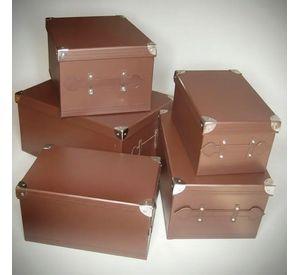 Cajas Organizadoras Para Almacenamiento Con Tapa Set De 5