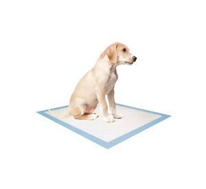 100 Sabanillas Entrenamiento 90x60cm Perros Mascotas Petwoow