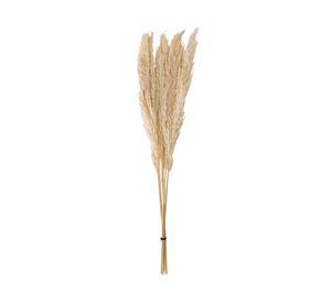 Ramo luminosa bleach beige 100 cm