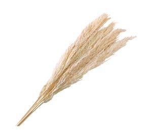 Ramo luminosa bleach beige 100 cm