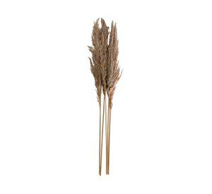 Ramo luminosa natural beige 100 cm