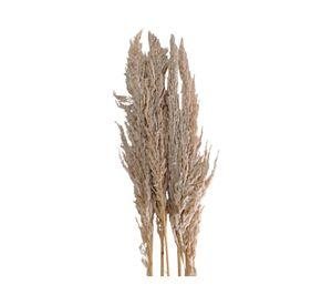 Ramo luminosa natural beige 100 cm