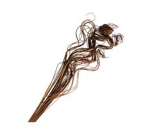 Ramo curly ting ting natural café 75 cm