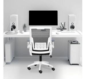 Silla Carla Ergon mica Asiento De Memoria Soporte Lumbar Bionico Silla De Oficina Escritorio