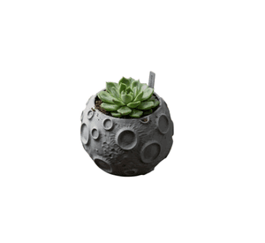 Macetero Prints Patro- Superficie Lunar