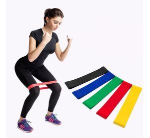 Band Loop Set Bandas Resistencia + Bolso