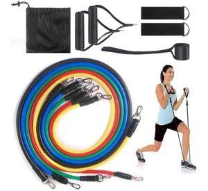 Set Bandas Elasticas Tubos 11 Piezas