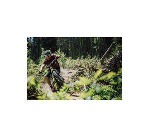 Lubricante Cadena Bicicleta Ambiente Seco 15 ML Peaty´s