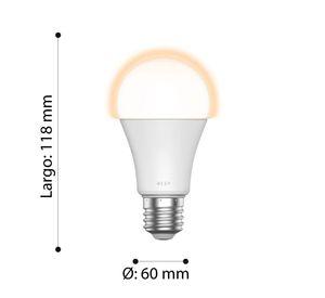 Ampolleta Acrilico deco led 9W E27 A60 cod.11684
