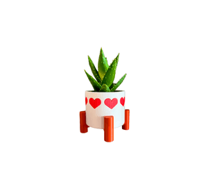 Maceta de corazones - San Valentín