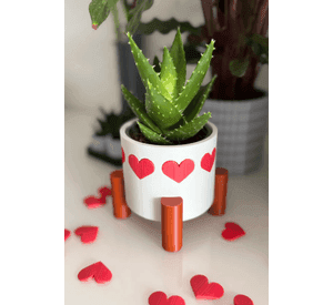 Maceta de corazones - San Valentín