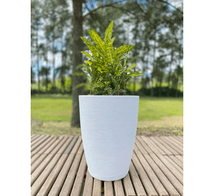 MACETERO FLORIDIS AMSTERDAM BLANCO 44CM DE ALTO