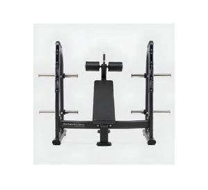 Olympic Decline Bench