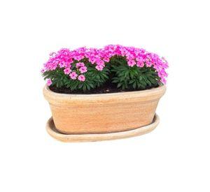 Jardinera Etrusca 35cm Ovalada con Plato Terracota