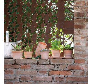 Mini Maceta 11cm Siena Cuadrada