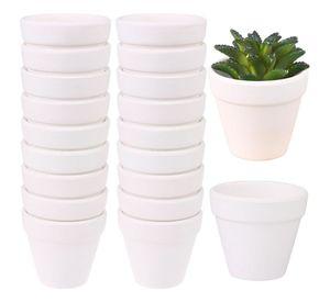 Set 6 Macetero Mini Suculentas Jardinería Cultivo Jhn