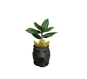 Maceta Forma Cara Leon Cesped Jardin Plantas Hogar Lau
