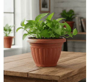 Macetero Plastico Redondo Terracota 15x21 5Cm