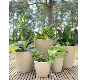 MACETERO FLORIDIS AMSTERDAM 65CM DE ALTO