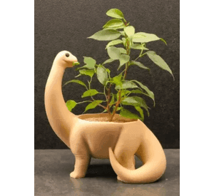 Macetero - Diseño Dinosaurio