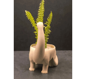Macetero - Diseño Dinosaurio