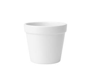 Set 6 Macetero Mini Suculentas Jardinería Cultivo Jhn