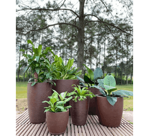 MACETERO FLORIDIS AMSTERDAM 65CM DE ALTO