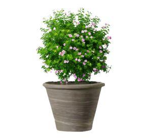 Maceta Vasum 31cm GrafitoDuo Deroma